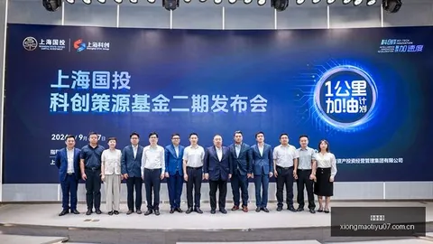 证监会紧急行动，600053 300086涉案立案